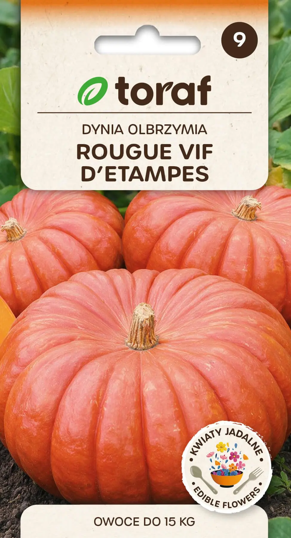 Kürbis Rouge Vif D'etampes