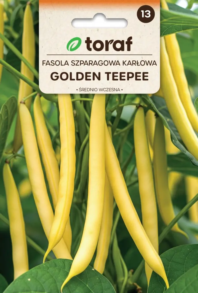 Golden Teepee Bohne