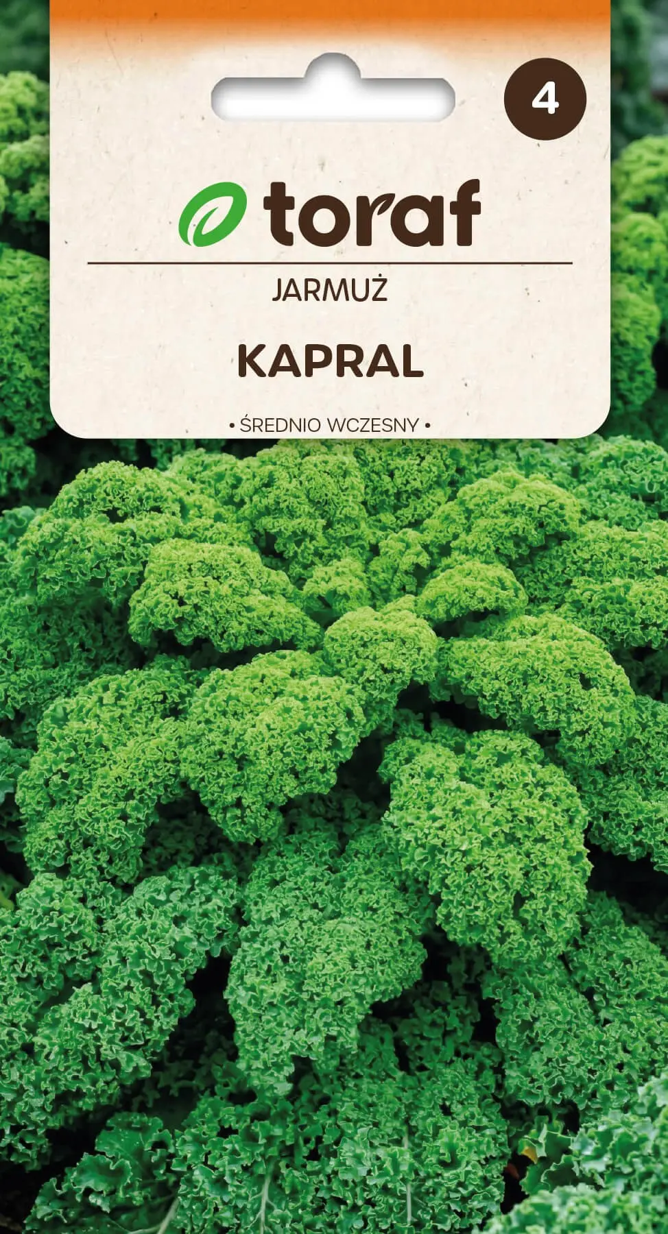 Grünkohl Kapral Grün