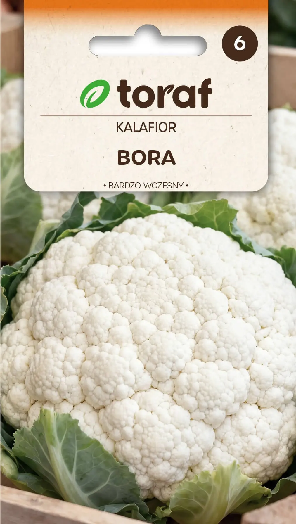 Blumenkohl Bora