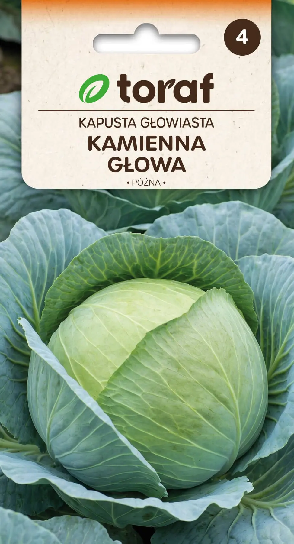 Kohl Kamienna Głowa