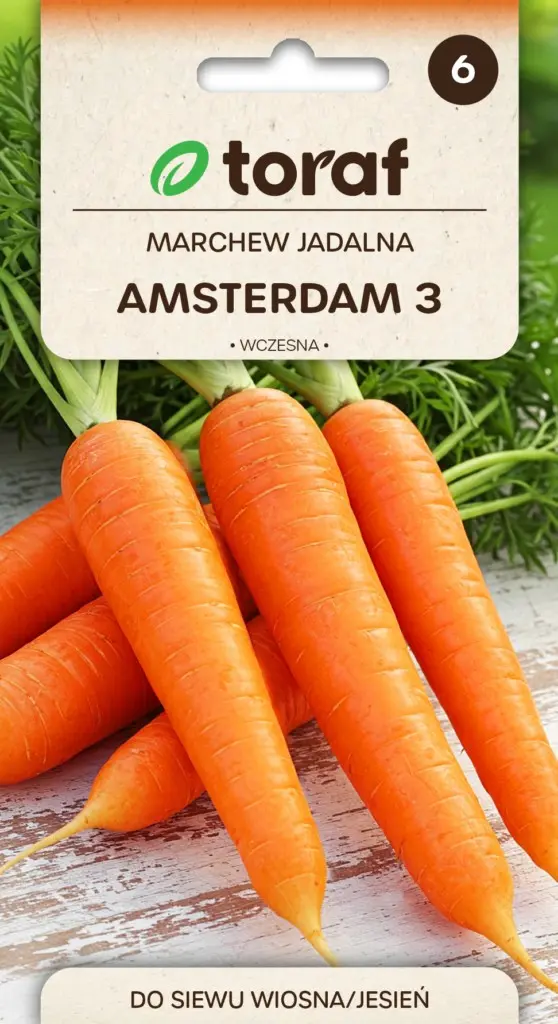 Möhre Amsterdam 3