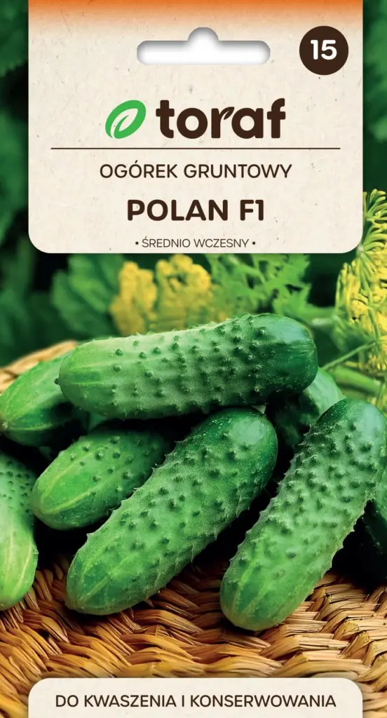 Komkommer Polan Midden Vroeg