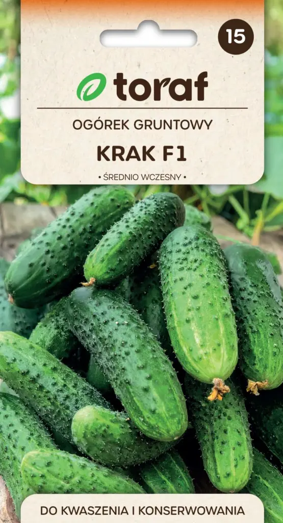 Gurke Krak - Mittelspät