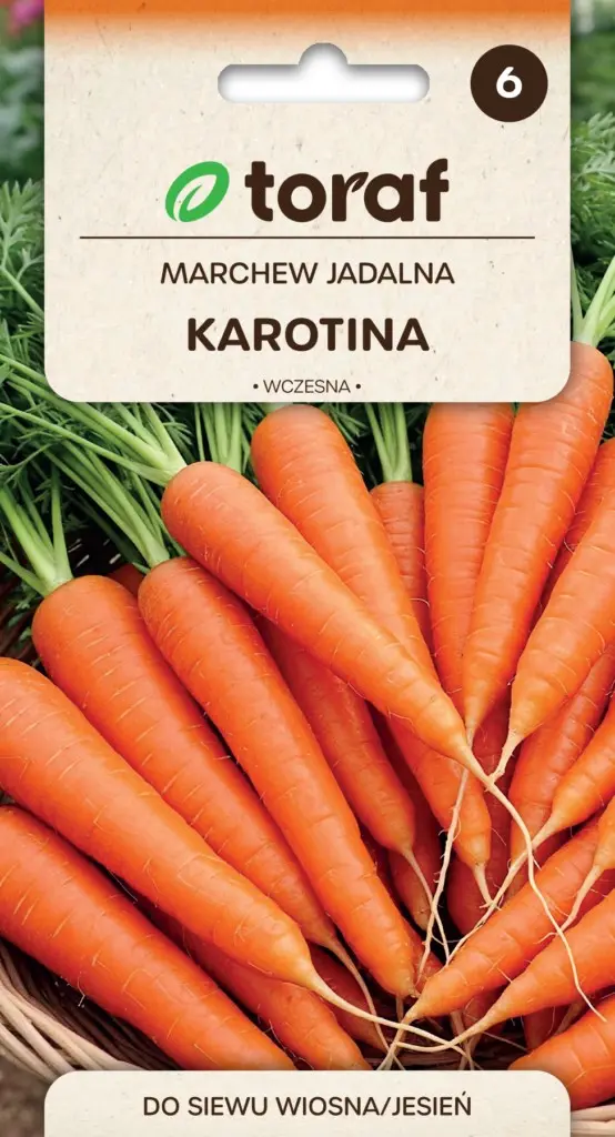 Möhre Karotina Früh