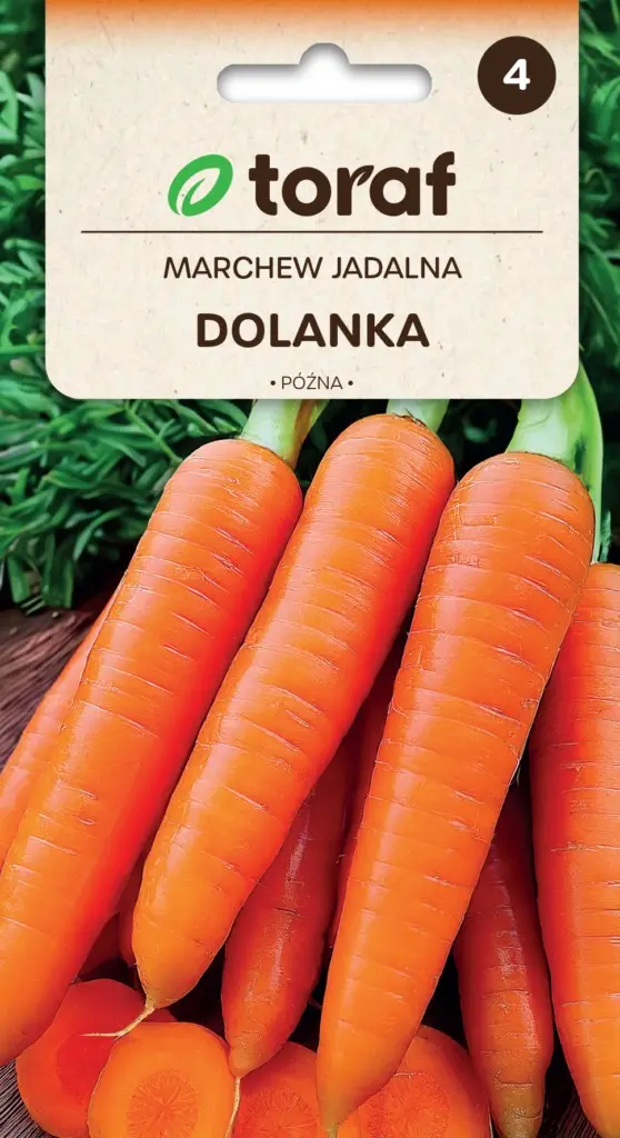 Möhre Dolanka Spät