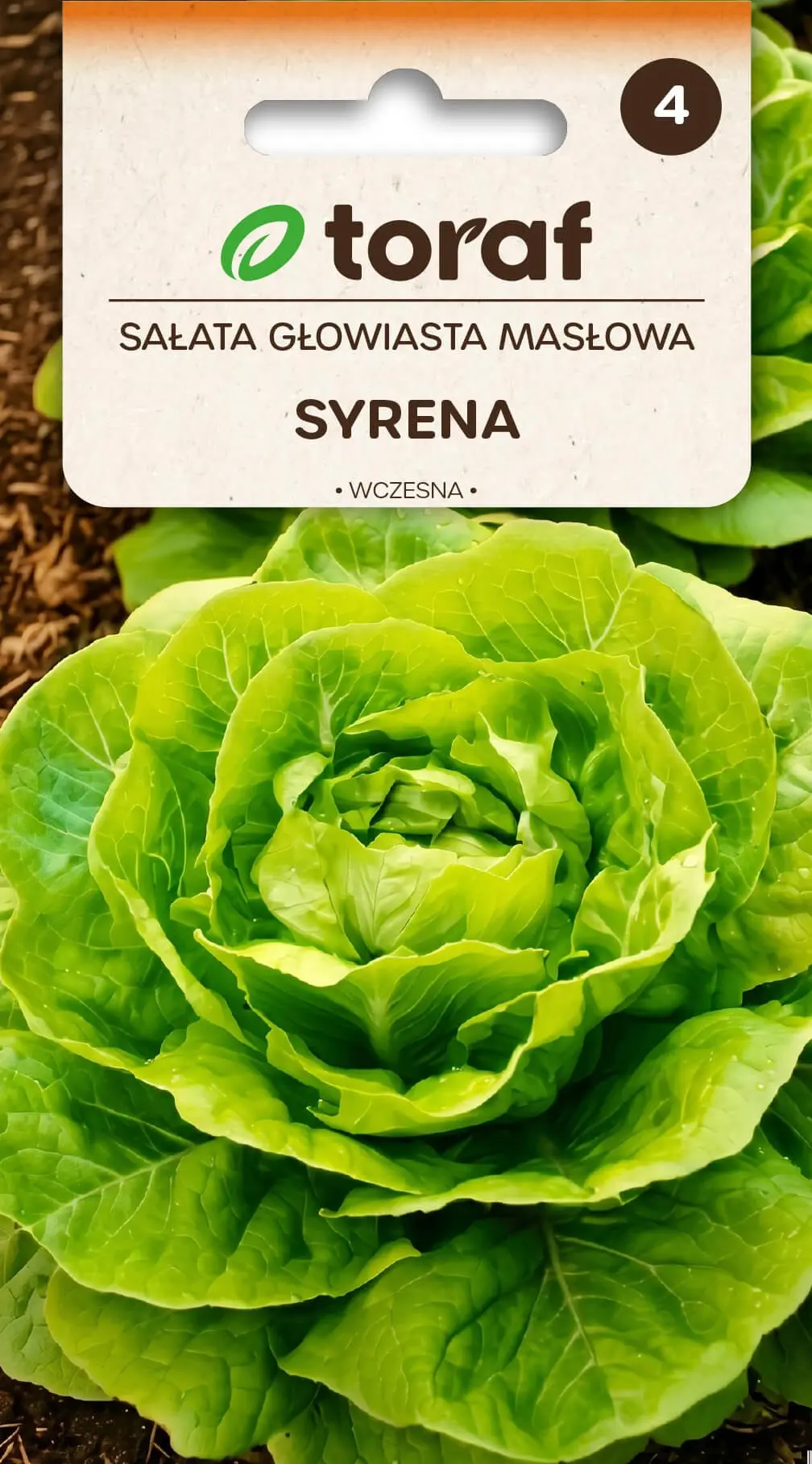 Lettuce Syrena
