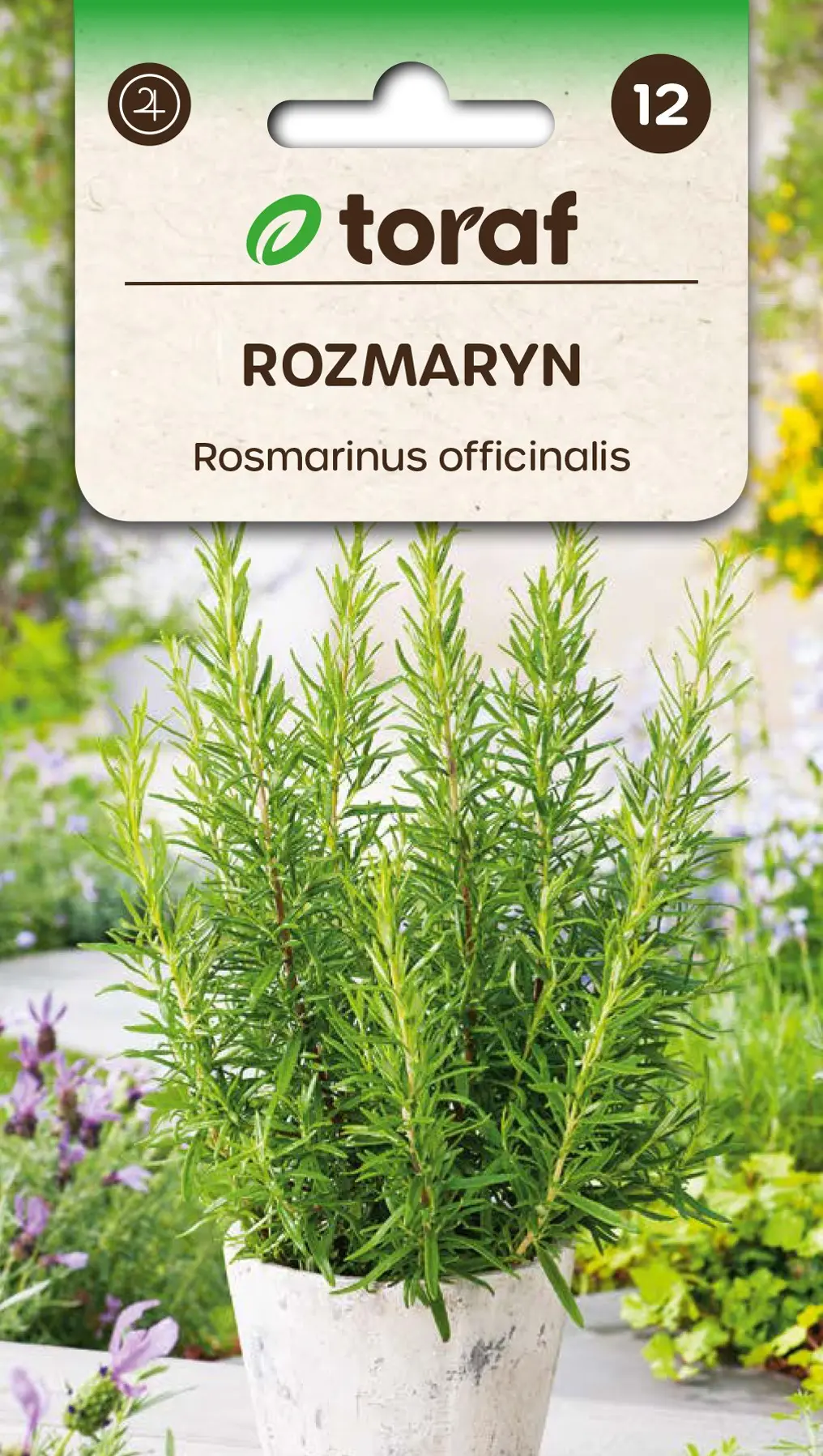 Rosmarin