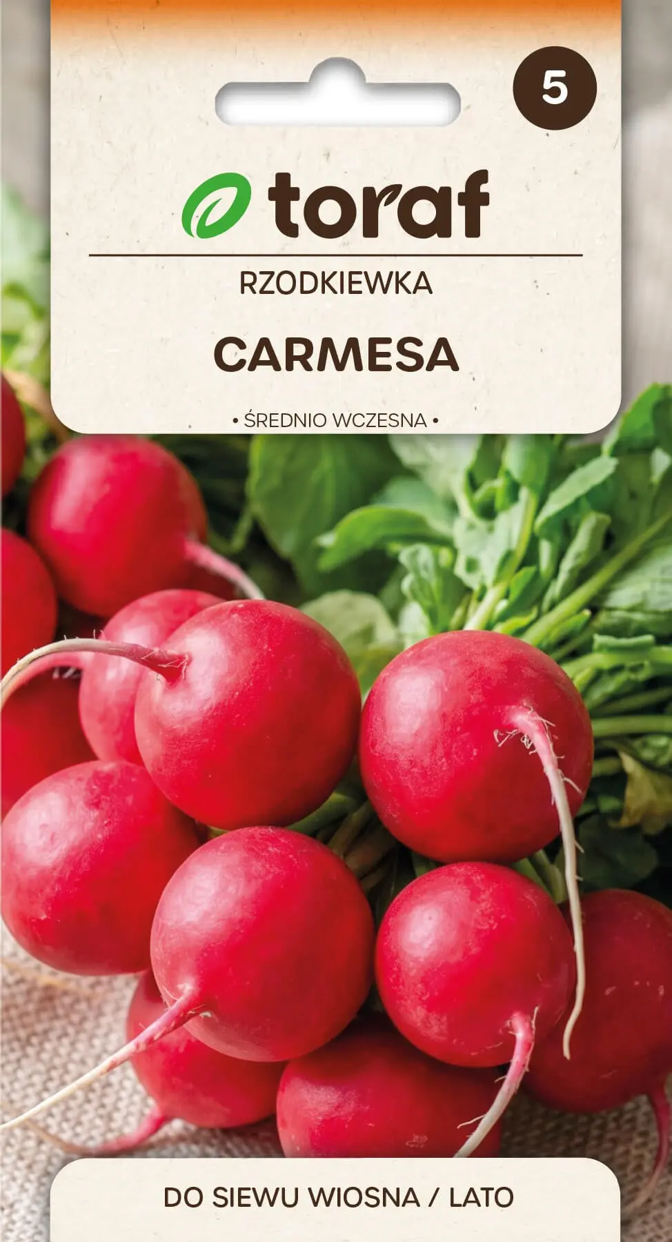 Radieschen Carmesa Rot - Mittelspät