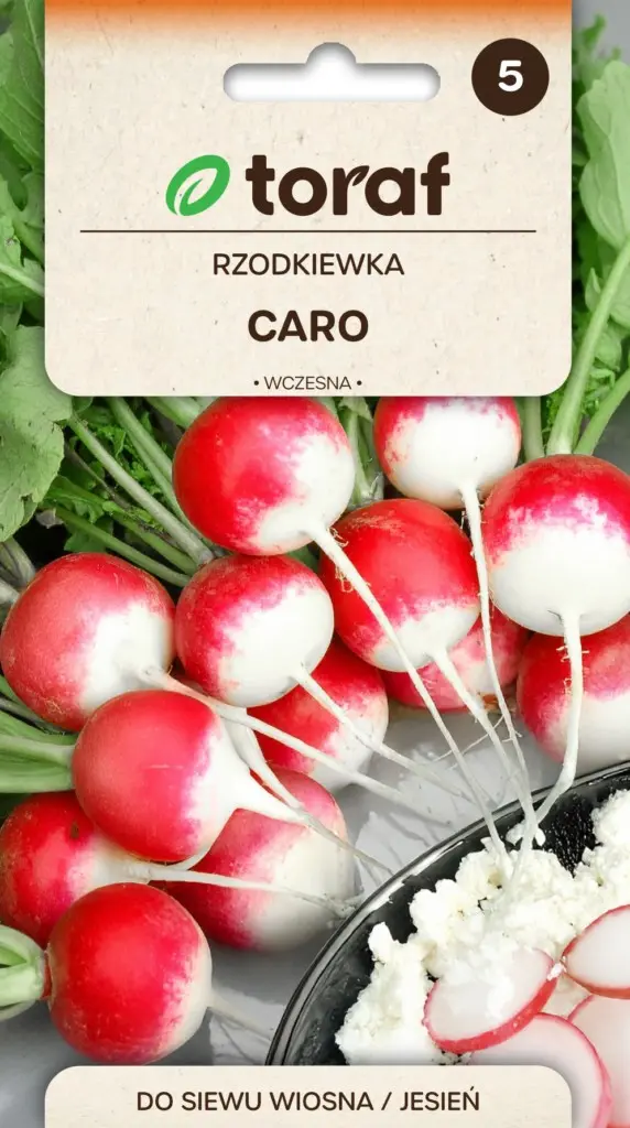 Radieschen Caro - Früh