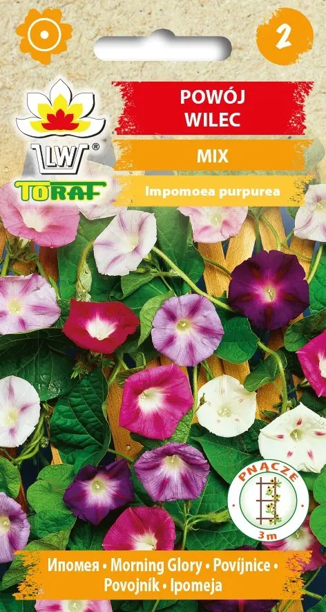 Powój Wilec Mix