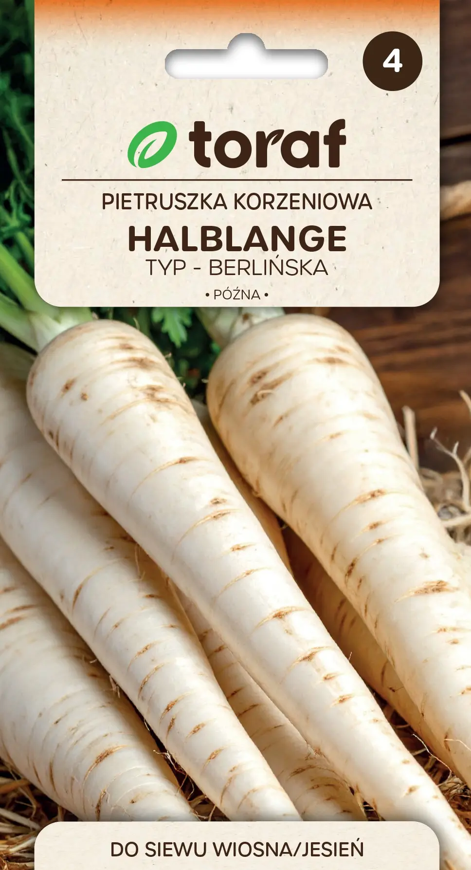 Petersilie Halblange Berlińska