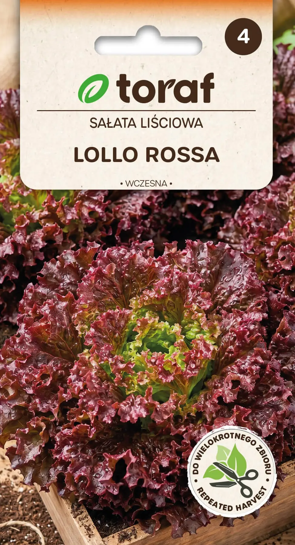 Lollo Rossa Bladsla