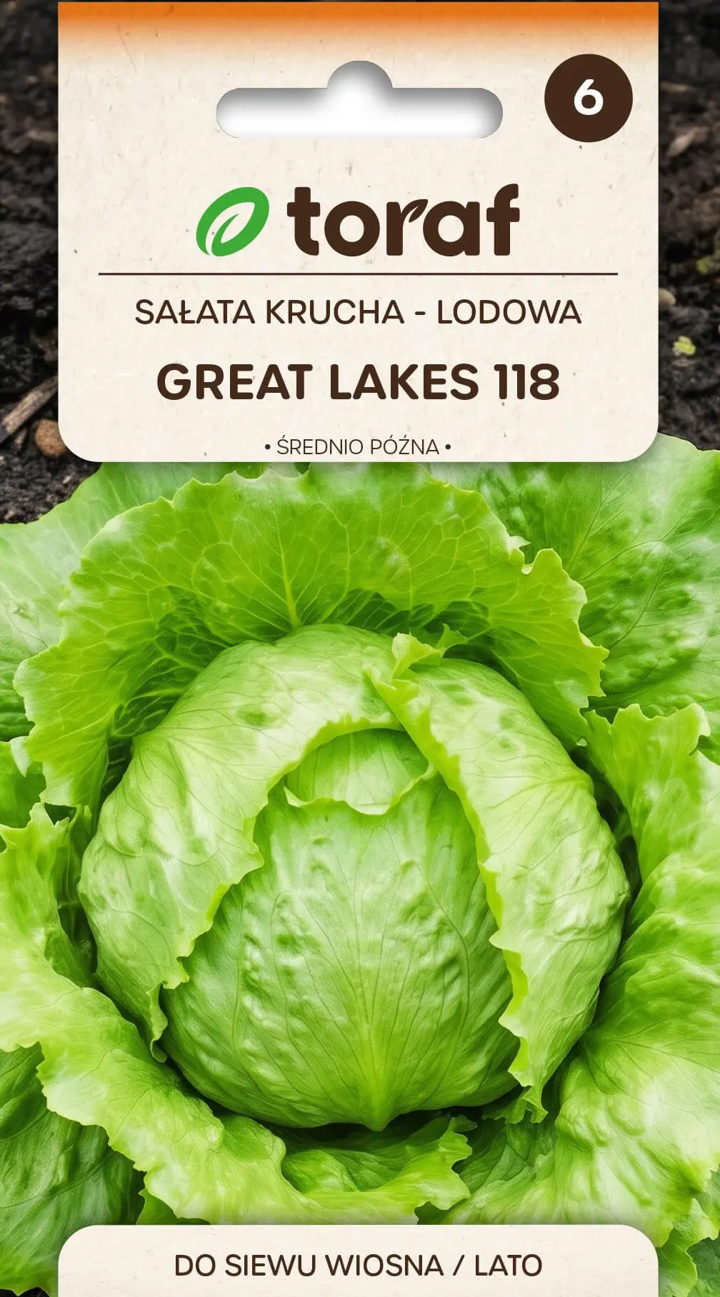 Salat Kopfsalat Great Lakes 118