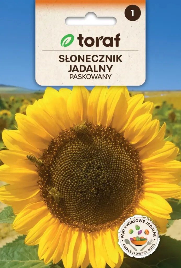 Gestreepte Eetbare Zonnebloem