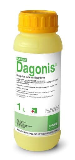 Dagonis 2