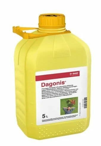 Dagonis 3