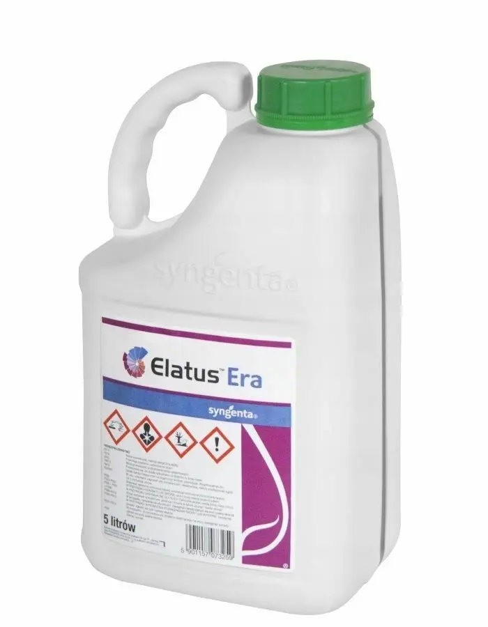 Elatus Era