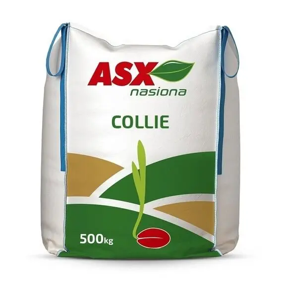 Winter barley Collie C1 6