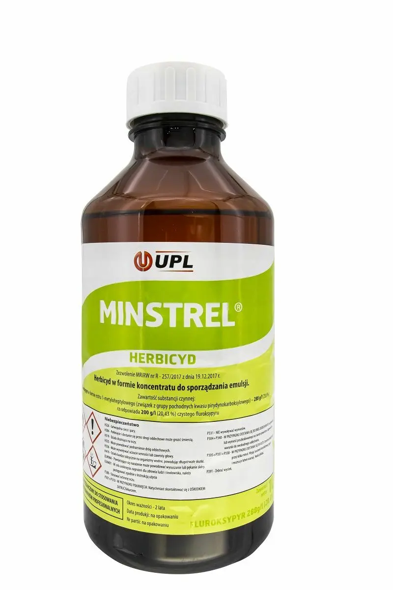Minstrel