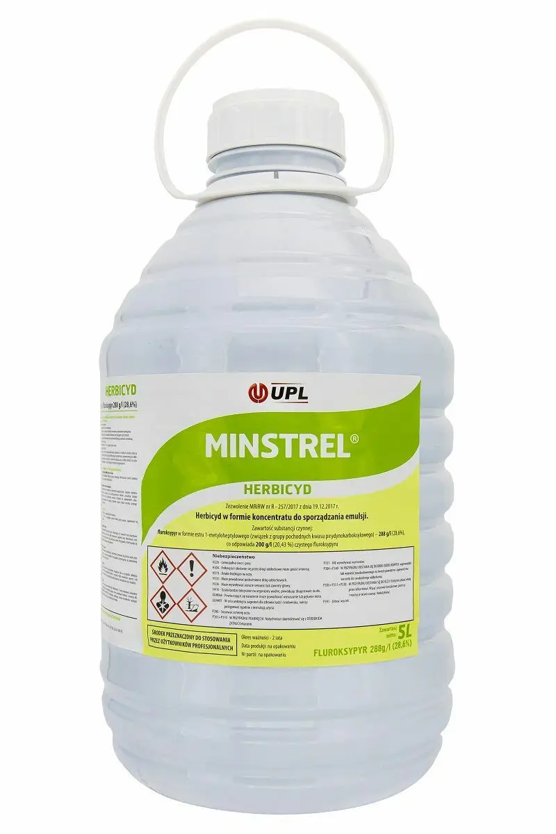 Minstrel 2