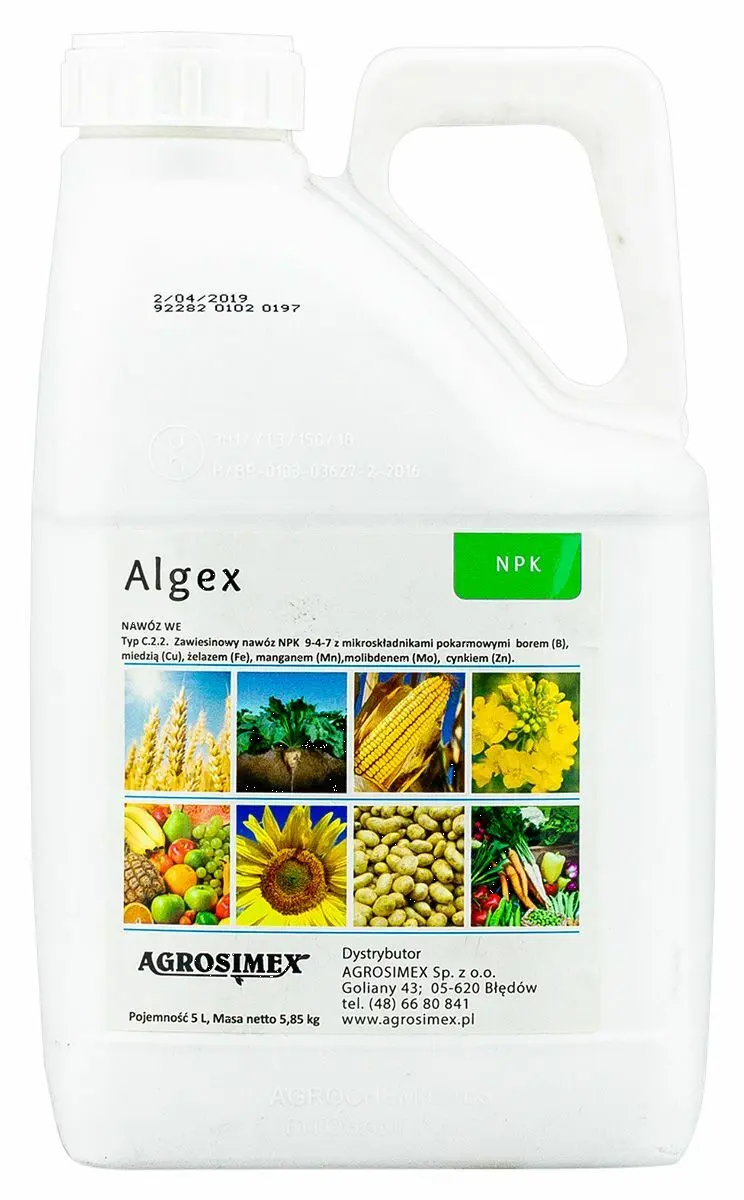 Algex 3