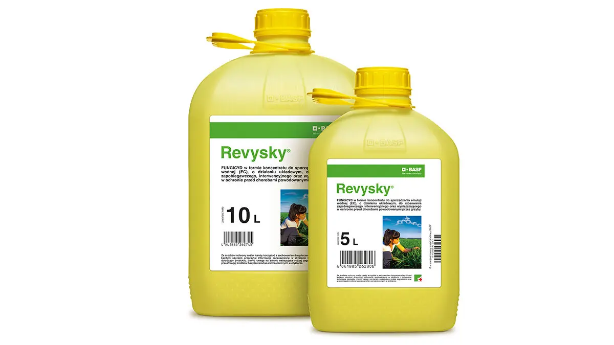 Revysky 2