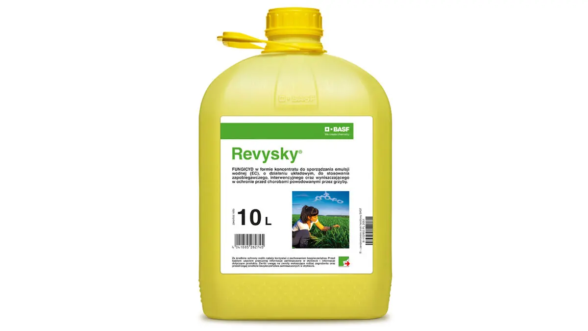Revysky 4