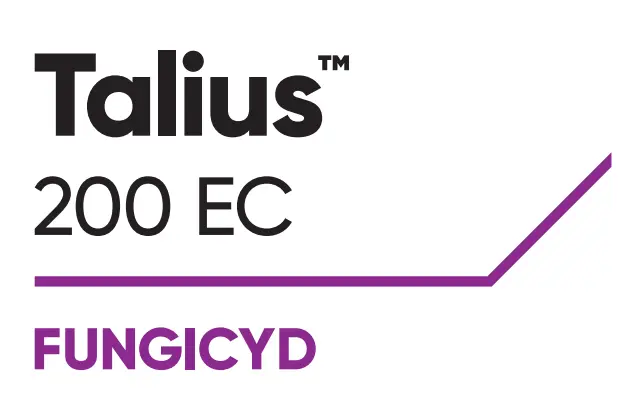 Talius 200 EC 1l (proquinazyd) - schützt Getreide vor Pilzkrankheiten 5
