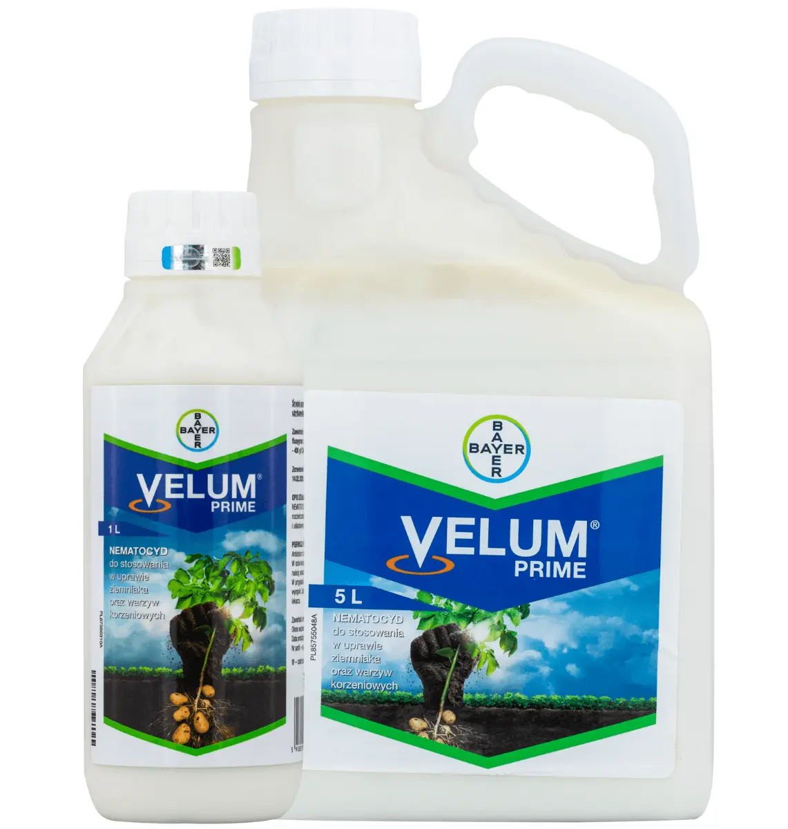 Velum Prime