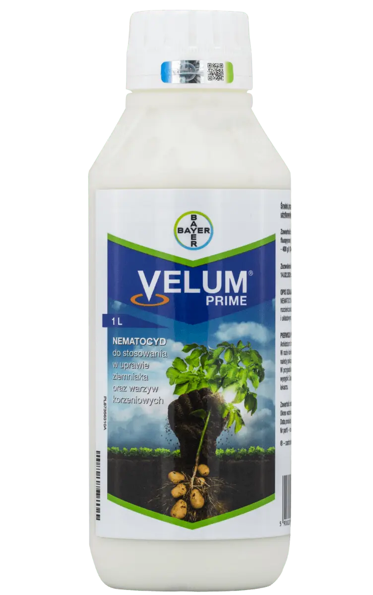 Velum Prime 2
