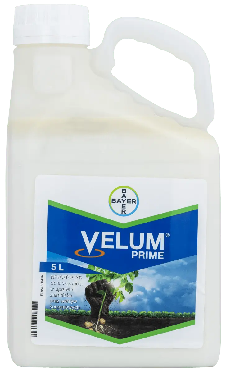 Velum Prime 5