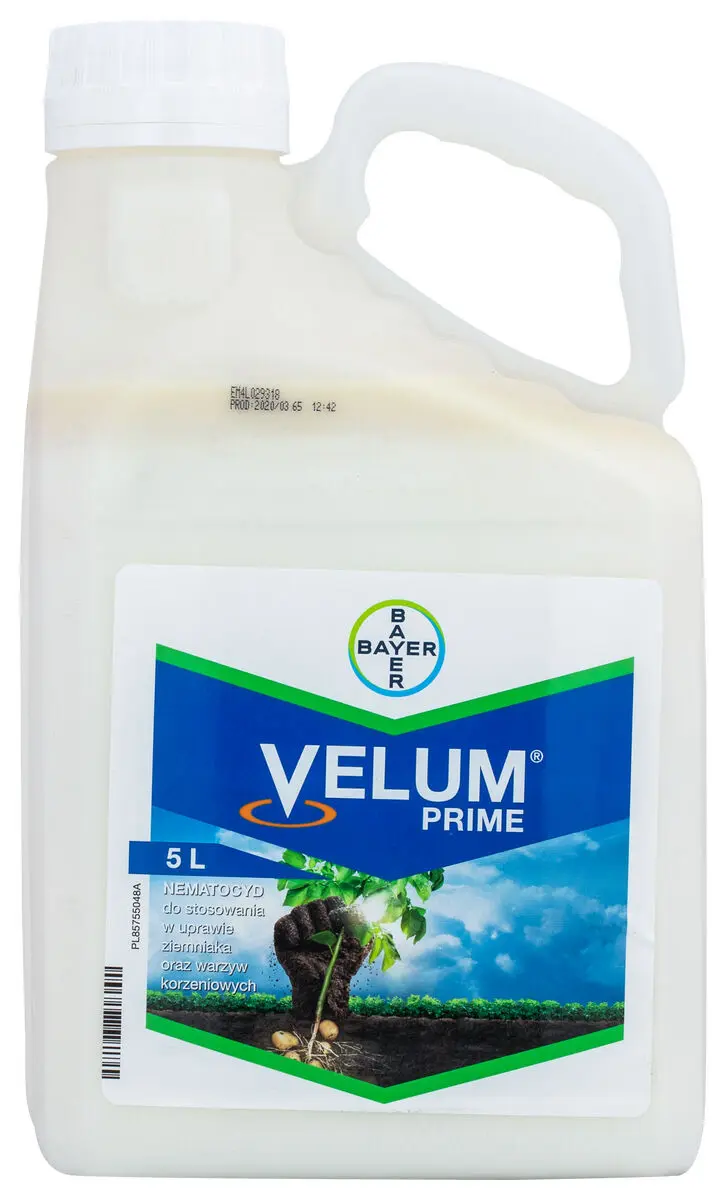 Velum Prime 6