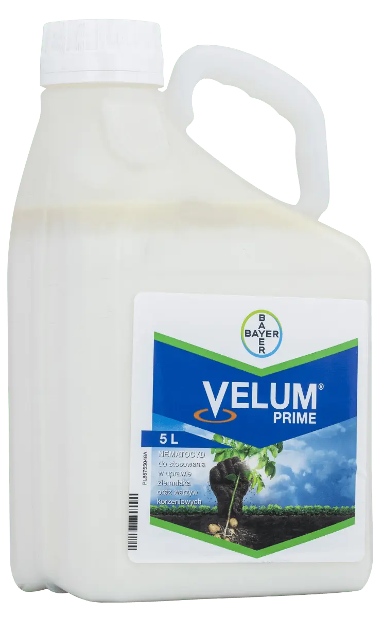 Velum Prime 7