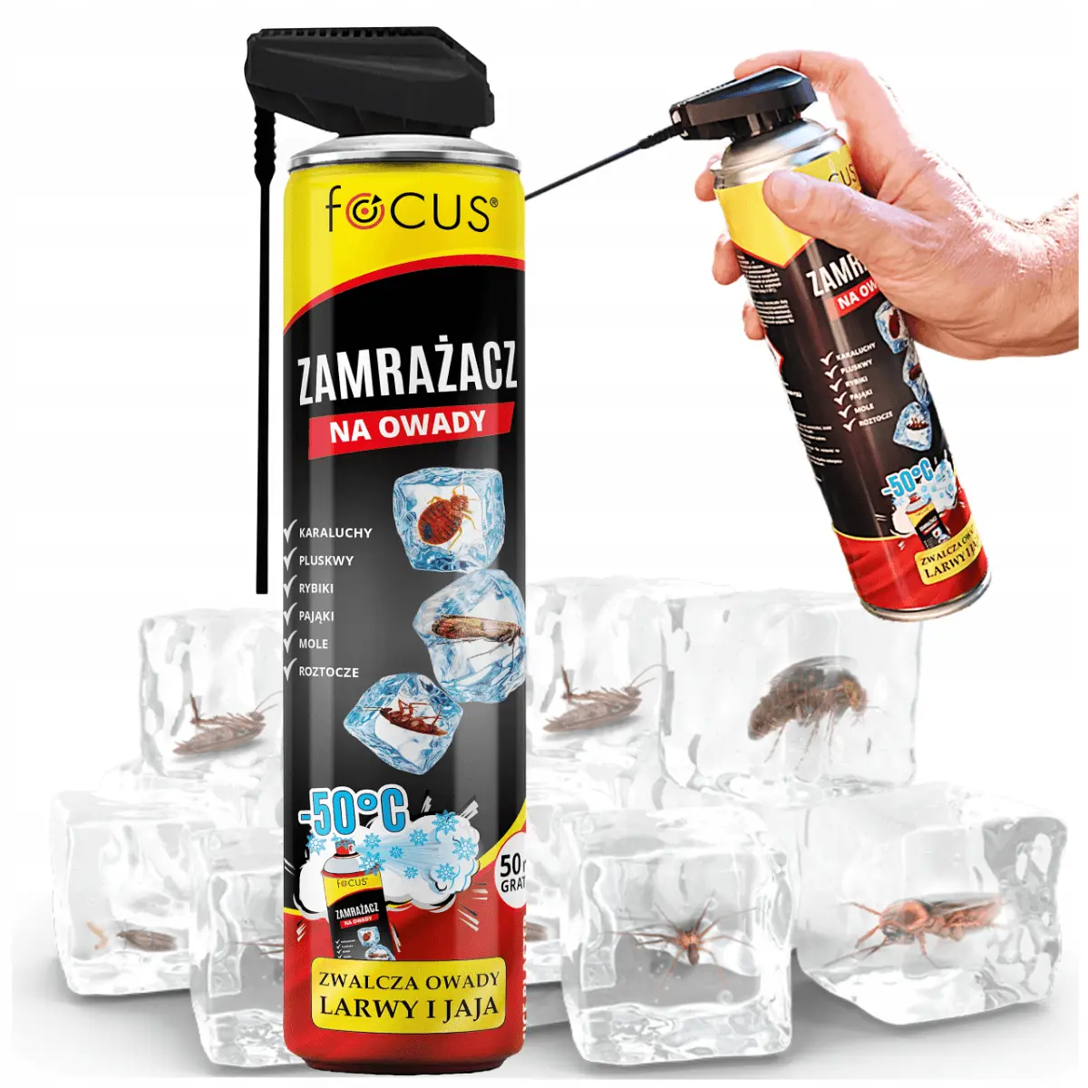 Focus Insect Freezer 2