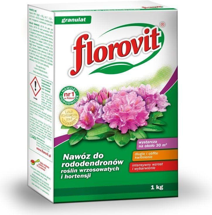 Florovit Rododendron