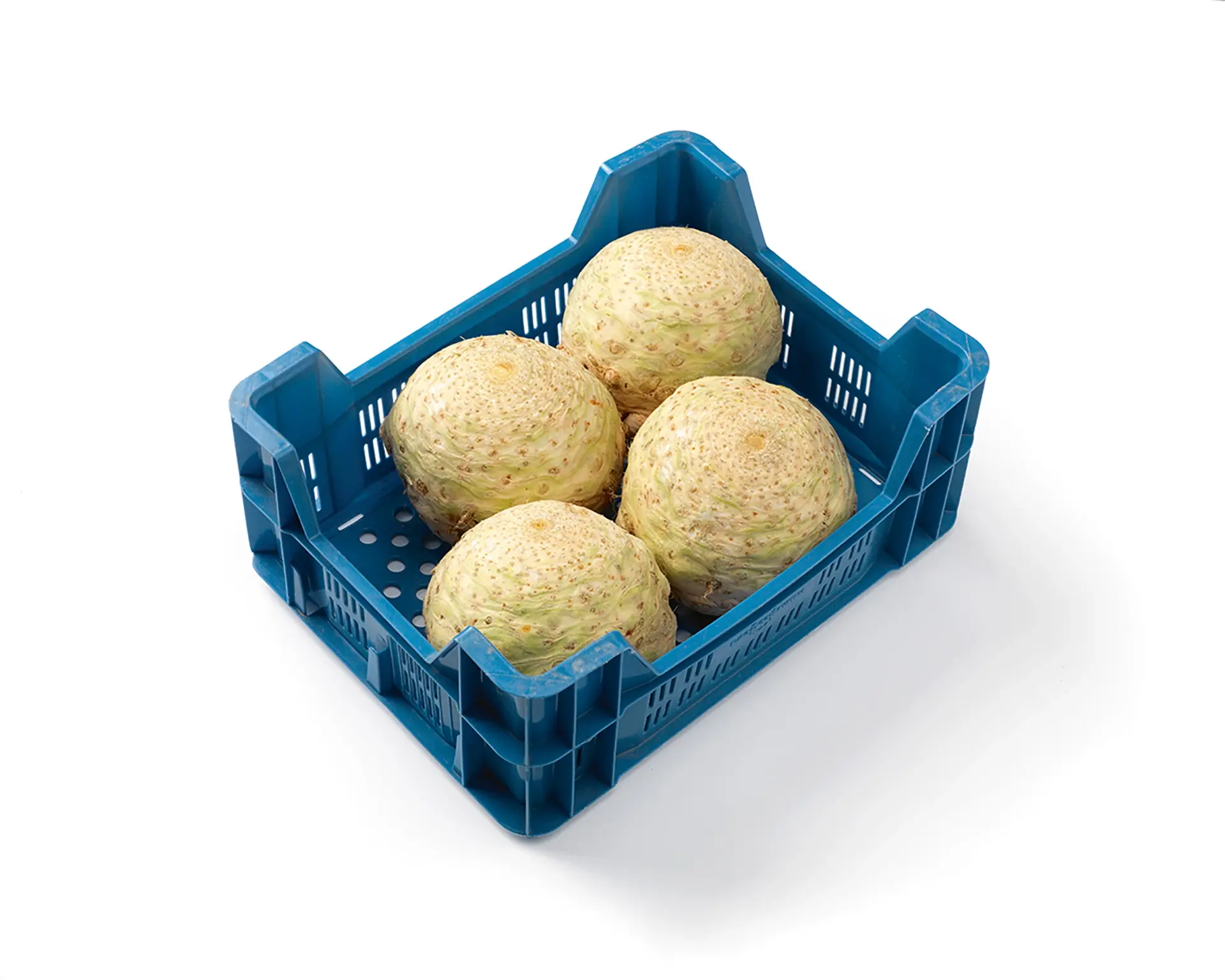 Princino F1 Coated Celeriac