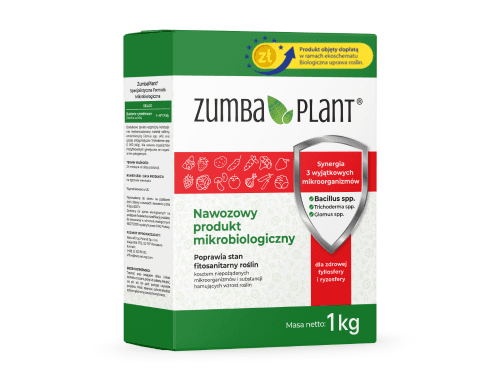 Zumba Plant