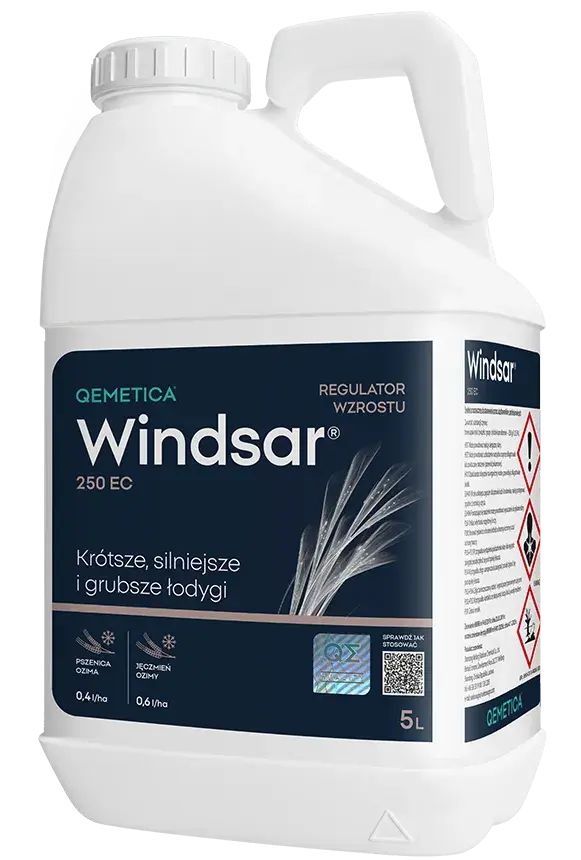 Windsar 250 EC (Ethyltrinexapak) - universeller Wachstumsregler und Pflanzenentwicklungsregulator