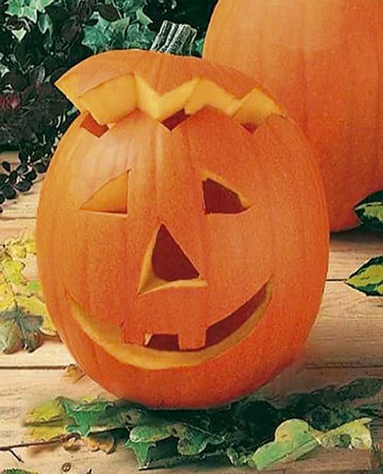 Jack o Lantern Kürbis Halloween Typ