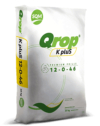 Qrop K PLUS Kaliumnitrat 12-0-46 Granuliert