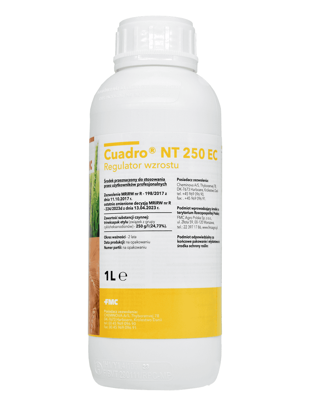 Cuadro NT 250 EC