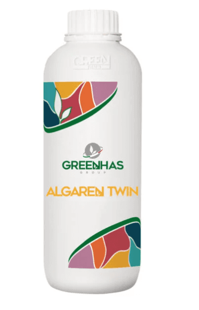 Algaren Twin
