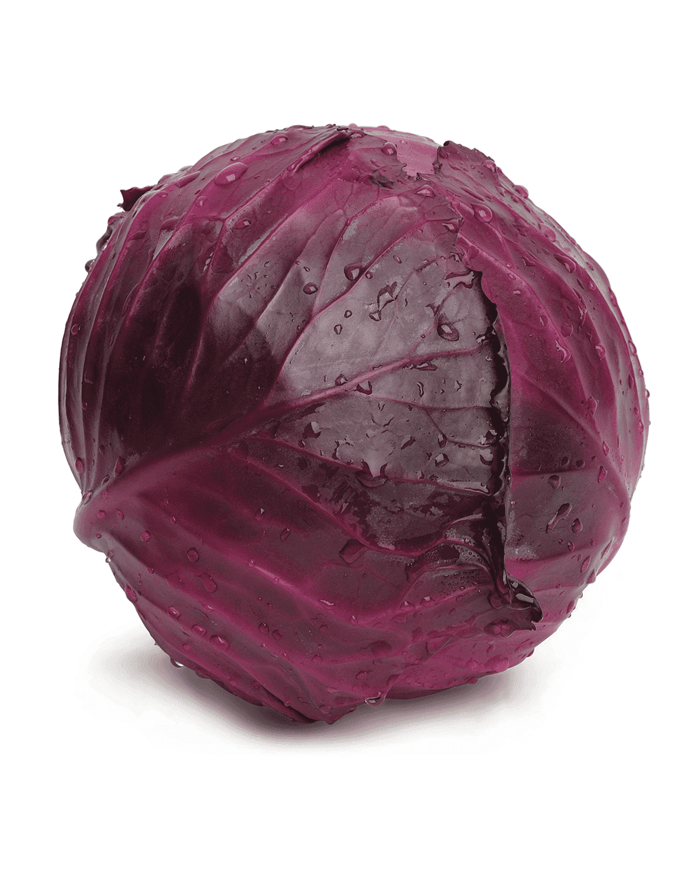 Kohl Red Jewel F1