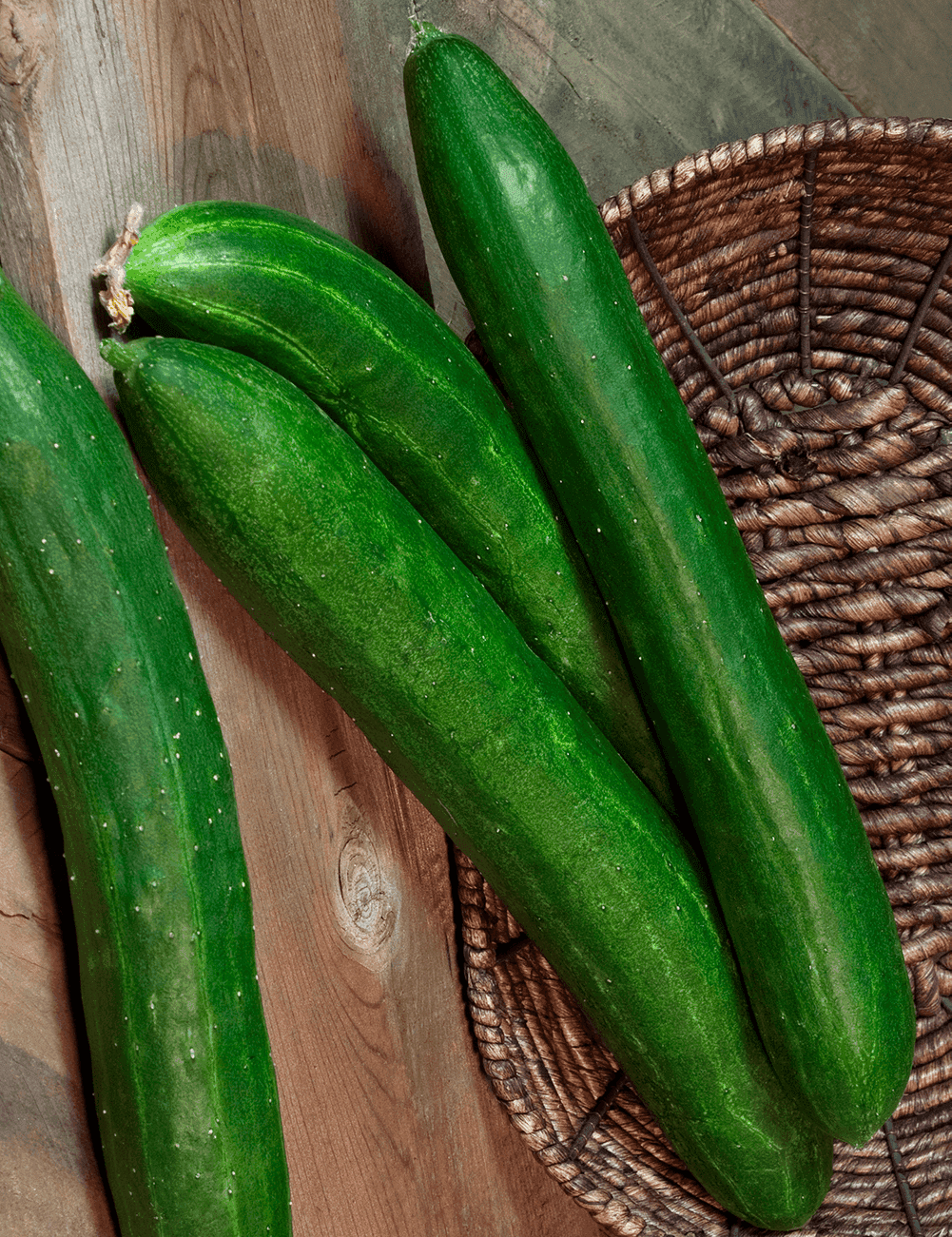 Gurke Burpless Tasty Green