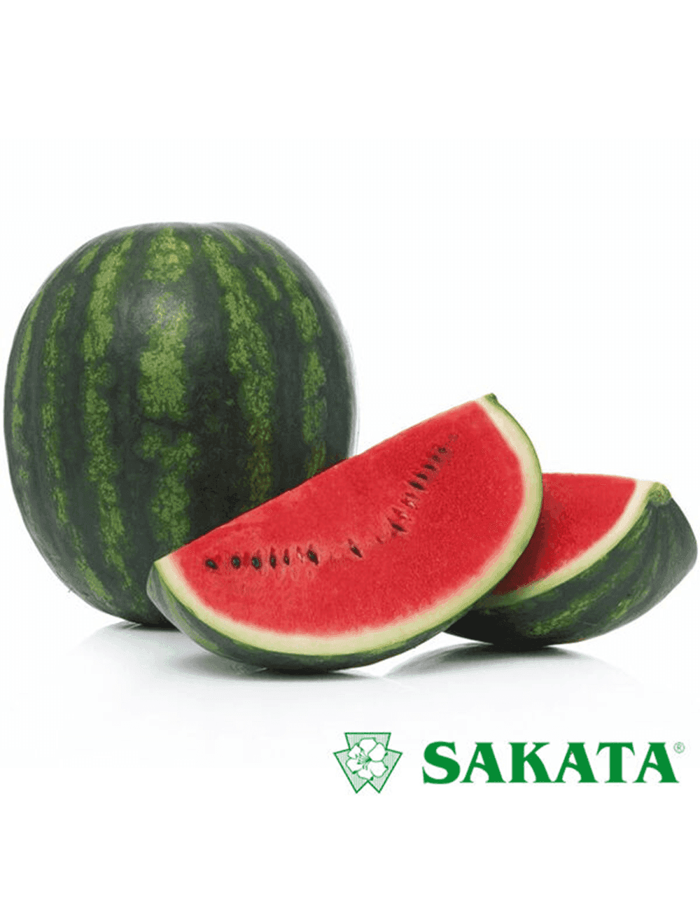 Wassermelone Sensei F1