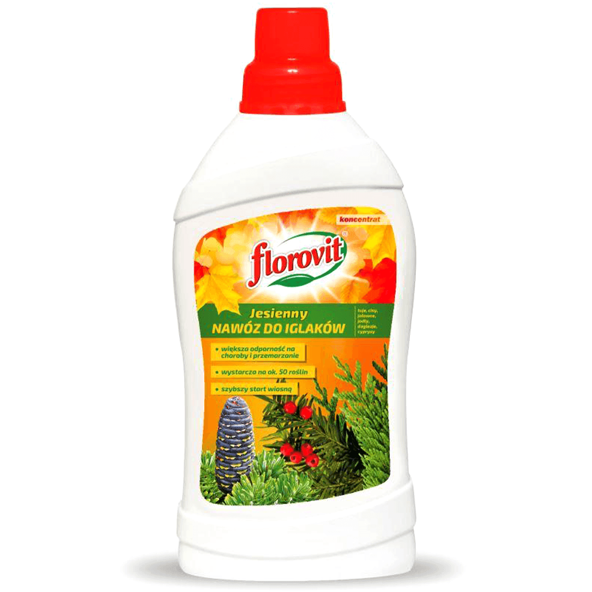 Herbstdünger für Nadelgehölze Florovit - flüssig - 1kg Flasche 2